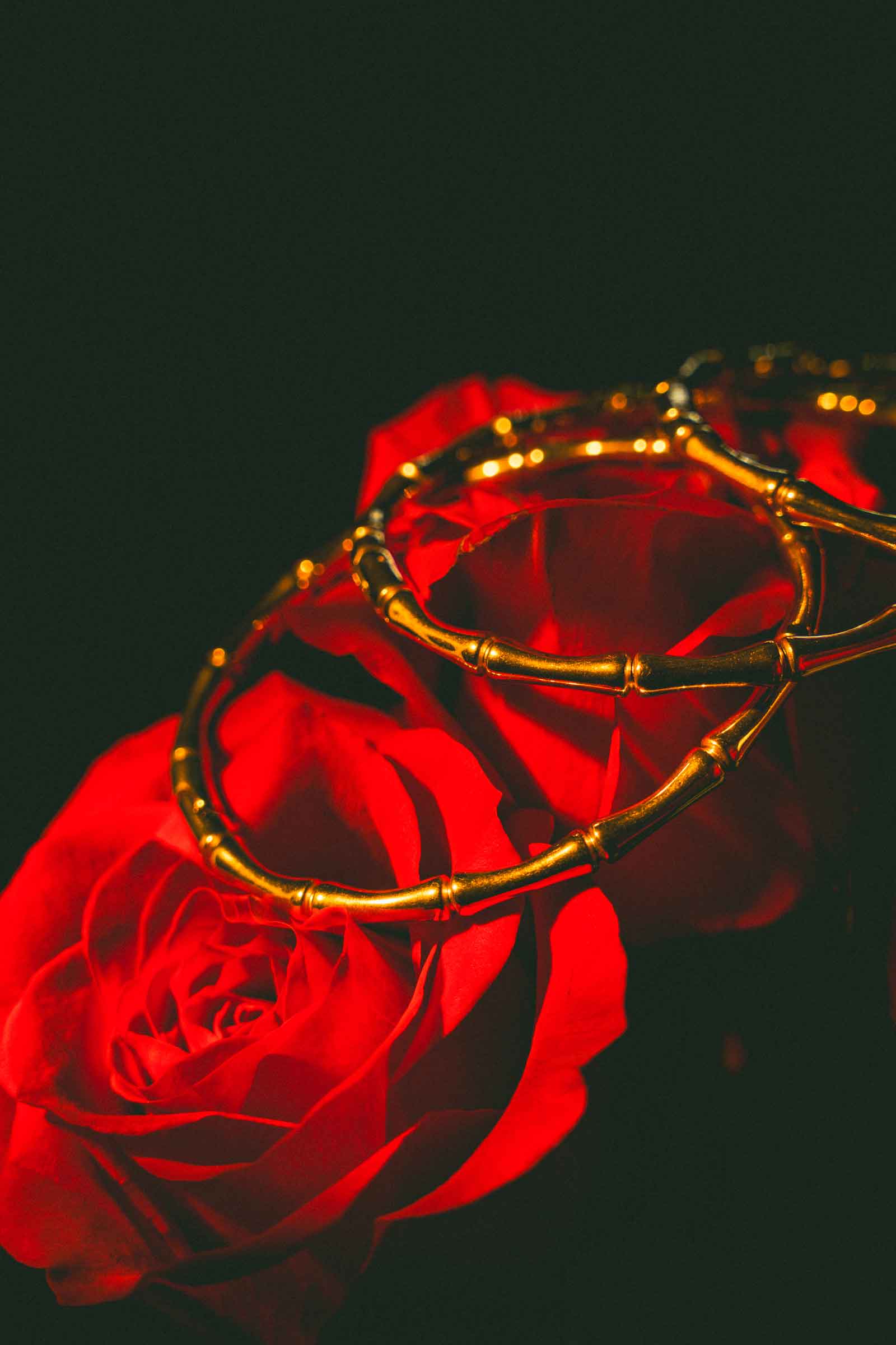 Oshun Hinged Bangle Set | 18K Gold Plated Waterproof | Sucré Couture